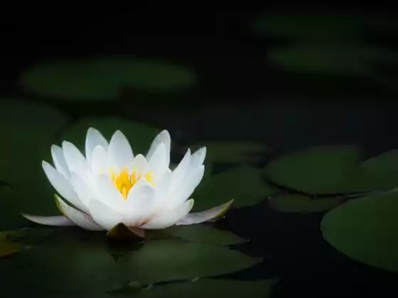 레이키 레벨 2
