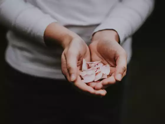 Fragen und Antworten zu Reiki Stufe 1