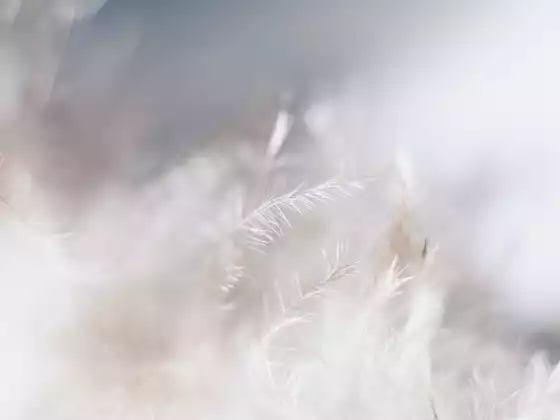 고의식 차크라를 위한 원격 치유 - 다국어