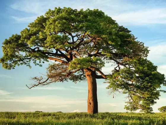 2023 ASAS POKOK - Kelas 1 - 2023 -11