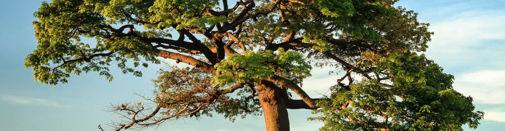 2023 ASAS POKOK - Kelas 1 - 2023 -8 - Online Class by John Keslick