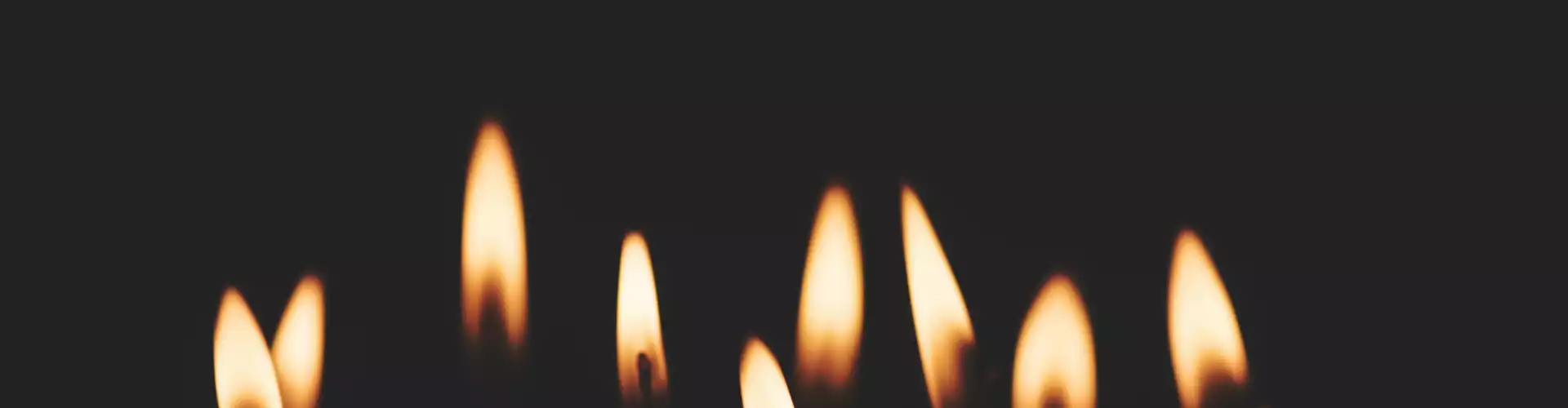 Chamanismo 101- Fuego del Consejo - Online Class by Dwight Harriman