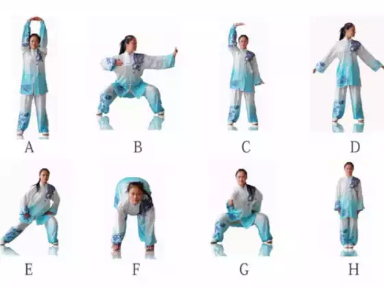 Qigong 12 minutong Practice