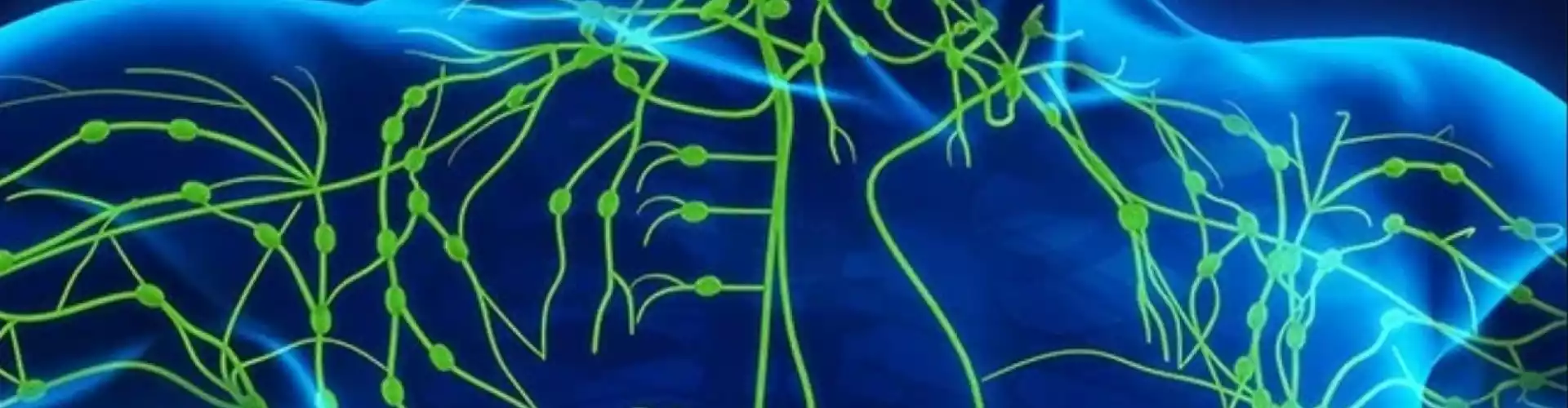 *Lymphmassage DIY - Online Class by Cassaundra Paolini