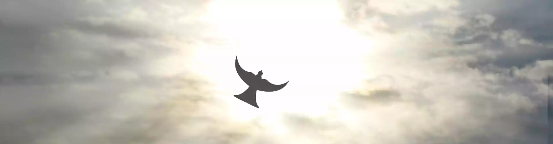Spiritualité "Le chaînon manquant du bien-être mental" - Online Class by Beth Lynch