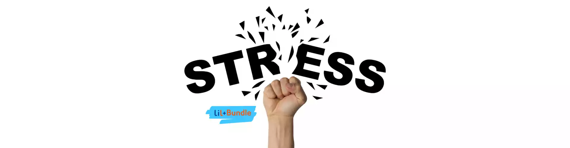 Bundle: Stressmanagement-Paket - Online Course by Learn It Live
