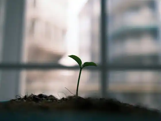 能量療法如何成為物理網路研討會 3