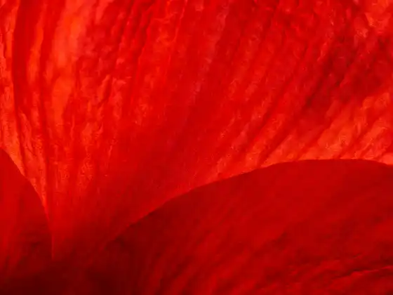 Remote Healing for Strengthening Core Energy