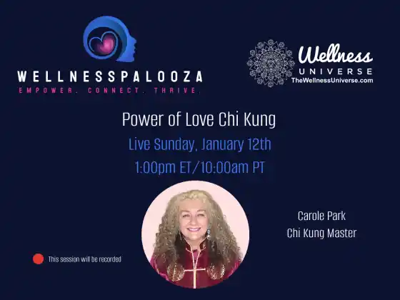 Wellnesspalooza 2025 愛氣功與Carole Park 的力量