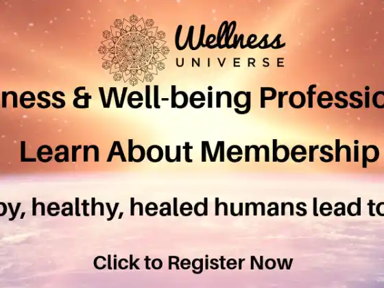 Wellness Universe 会员介绍