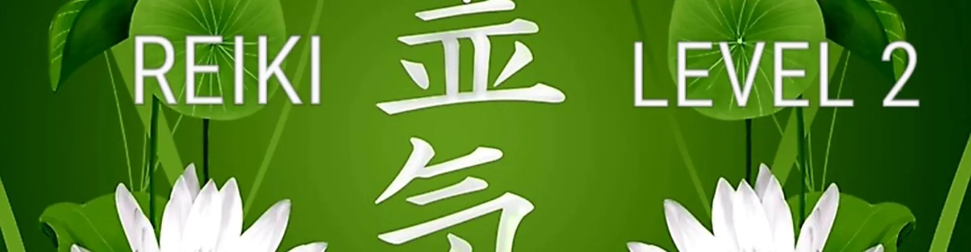 灵气2级 - Online Class by Cassaundra Paolini