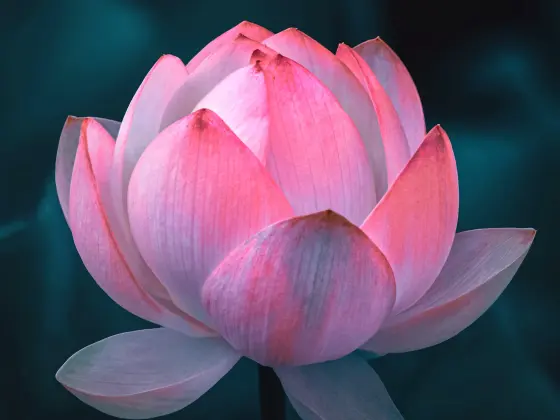 Reiki mesterképzés hétvégéje